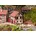 G Fachwerkhaus 331779 G