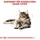 Royal Canin Adult Maine Coon 2 kg