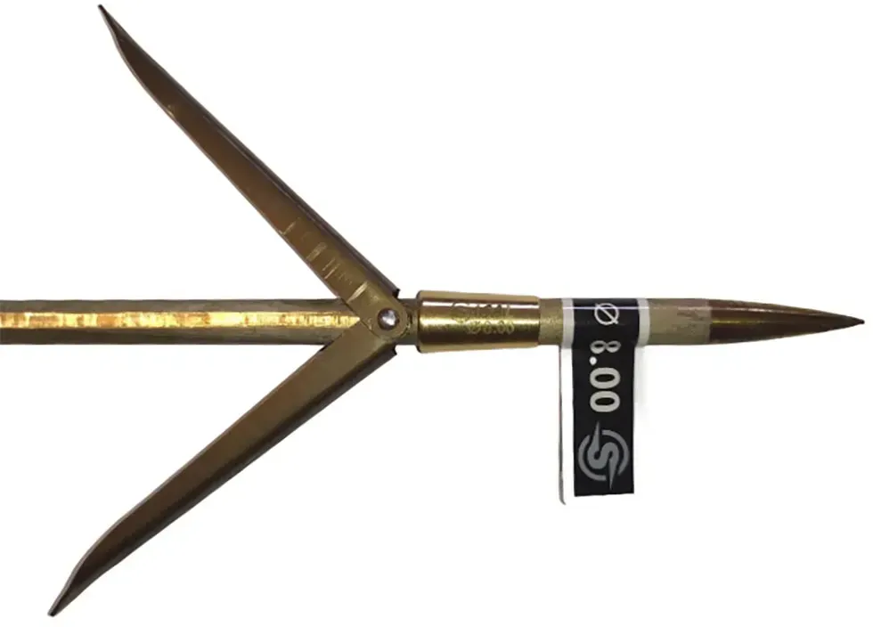 Sigalsub Hrc Tahitian With Cone Doppelflossen-speerschaft 8.00 Mm - Golden - 145 cm