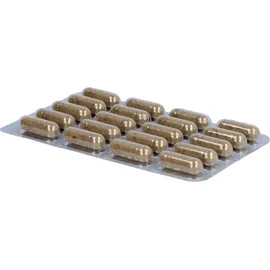 Padma 28 Active Kräuter-Kapseln 100 St.