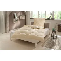 Älgdröm Naturfaserbettdecke Baumwolle 60 °C, Bettdecke 135x200 cm, 155x220 cm, 200x200 cm, Füllung: 100% Baumwolle, Bezug: 100% Baumwolle, Bettdecken, Sommer, Winter, 4 Jahreszeiten, Decke, Made in Germany beige 135 cm x 200 cm