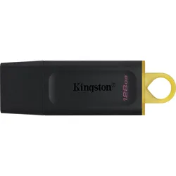 Kingston DataTraveler Exodia - 128 GB