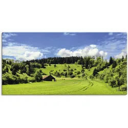 Artland Wandbild »Traumhafte Landschaft im Schwarzwald«, Wiesen & Baumbilder, (1 St.), als Alubild, Outdoorbild, Leinwandbild, Wandaufkleber, versch. Größen Artland Farbe Bild(er): grün