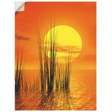 ARTland Wandbild »Sonnenuntergang mit Schilf«, Größe: 60x80 cm