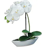 ROLLER Orchidee-Phalaenopis - creme - Kunstpflanze