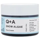 Q A Snow Algae (Intensive Face Cream) 50 g