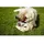 Wolters Pure Nature Spielknochen S braun