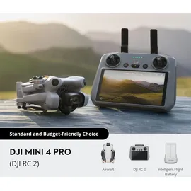 DJI Mini 4 Pro (DJI RC 2)