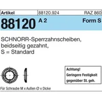 SCHNORR Scheiben Federstahl S 10 mech. verzinkt mech Zn
