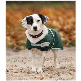 Waldhausen Hundedecke Comfort Line 200 g Tannengrün 35 cm