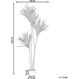 Beliani Kunstpflanze Dracaena Draco 165 cm) Grün