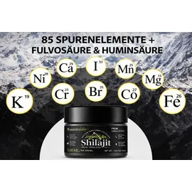 SAPURA Shilajit Harz Paste 60 g