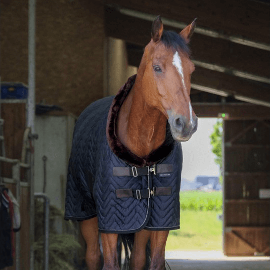 Equithème Teddy Samtdecke 150g, 6'3