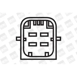 BorgWarner (Beru) (BERU) Zündspule ZS348