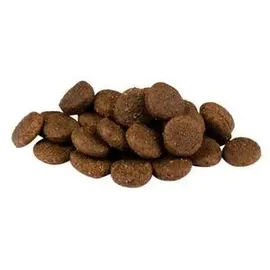 CARNILOVE Welpenfutter Lachs & Pute 4 kg