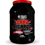 BMS CreaVitargo Mango Pulver 2000 g