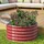 Vitavia Vita 401 Rund 82 x 82 x 40 cm rubin