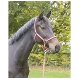 Kerbl Nylonhalfter Hippo, Shetty