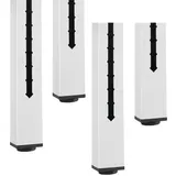 Rau Höhenverstellsatz, 200 mm Verstellweg, 4-Fuß-Gestell