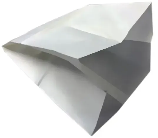 Staubsaugerbeutel Cleanfix Papierfilter SW 21, SW 25, 10 St. 10 Stück für Nass/-Trockensauger