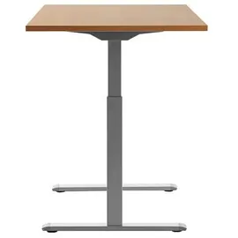 TOPSTAR Schreibtisch E-Table Buche / Grau