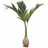 Europalms Phönix Palme, Kunstpflanze, 240cm