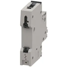Siemens 5SY4110-7