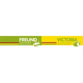 Freund Victoria Gartengeräte GmbH Straßenrechen 26216 16 Zinken, ohne Stiel