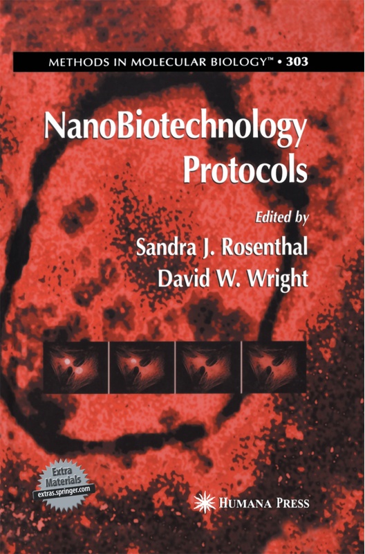 Nanobiotechnology Protocols, Kartoniert (TB)