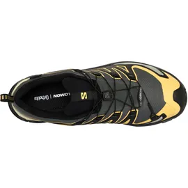 Salomon XA Pro 3D V9 GTX / Multisportschuhe Gr. 42 2/3