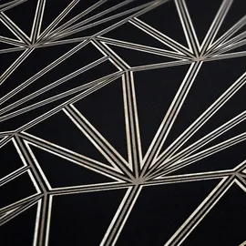 DANIEL HECHTER Designertapete 13 cm x 10 m schwarz 375281