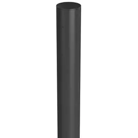 Biohort Sichtschutzelement 180 x 40 cm Dunkelgrau Metall 2 St.