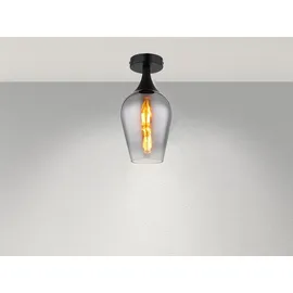 meineWunschleuchte - Kleine LED Deckenleuchte Rauchglas Lampenschirm, Ø15cm