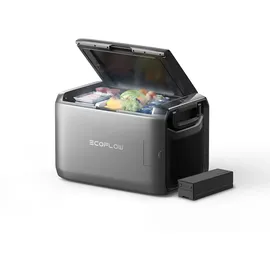 EcoFlow GLACIER 55 l
