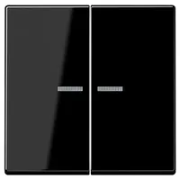 Jung Taster 2fach, BT A 17102 BF SW