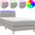 vidaXL Boxspringbett 100 x 200 cm Hellgrau