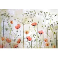 Papermoon Fototapete »Photo-Art MANDY DISHER, MOHNWIESE«, bunt