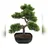 Europalms Bonsai-Pinie, Kunstpflanze, 50cm