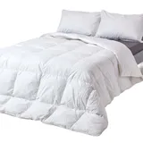 Homescapes Leichte Sommerbettdecke Wärmeklasse 2, Federbettdecke mit Gänsefedern und -daunen, 135 x 200 cm,