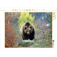 Calvendo Braunbär Puzzle