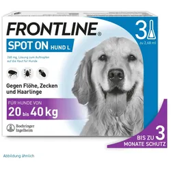 FRONTLINE SPOT-ON gegen Zecken, Flöhe und Haarlinge für Hunde L (20-40 kg)  3 St Lösung