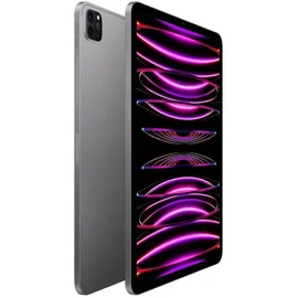 Apple iPad Pro 12,9" (6. Generation 2022) 1 TB Wi-Fi space grau