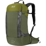 Jack Wolfskin Phantasy 22.5 LT Rucksack 54 cm greenwood