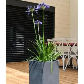 Eda Basalt Up 29,5 x 29,5 x 49,5 cm Anthrazit