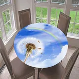 Morbuy Rund Tischdecke Elastisch, Löwenzahn Rund Tischdecken Wasserdicht Lotuseffekt Abwaschbar Abwischbar Tischtuch für Dekoration Küchentisch Garten Outdoor (Durchmesser 110cm,Regenbogen)