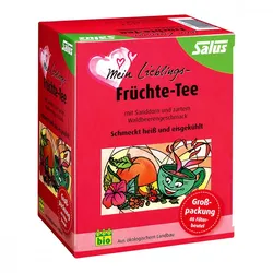 Mein Lieblings-früchte-tee bio Salus Filterbeutel