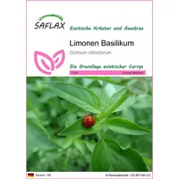SAFLAX - Kräuter - Limonen Basilikum - 200 Samen