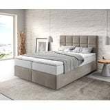 DeLife Dream-Fine 140 x 200 cm H2/H3 beige