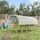 Outsunny Tomatengewächshaus Stahl Weiß PE 400 cm 5,44 m2