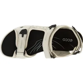 ECCO Offroad Damen gravel 39